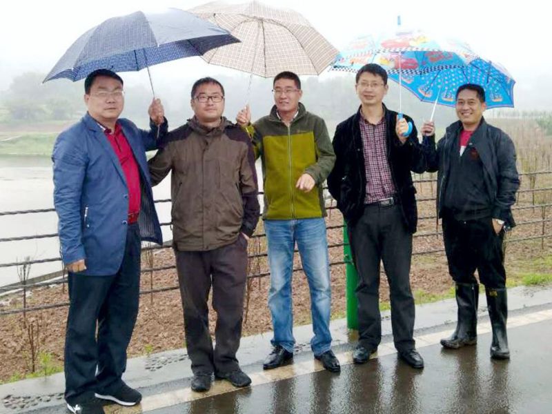 2026世界杯园林绿化维护