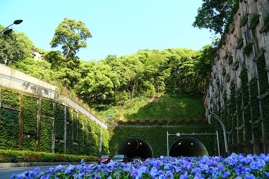 2026世界杯园林绿化维护